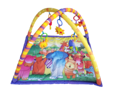 Baby Play Gym