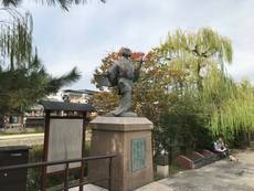 Half Day Private Tour of Kyoto - Kiyomizu Temple to Nishiki Market