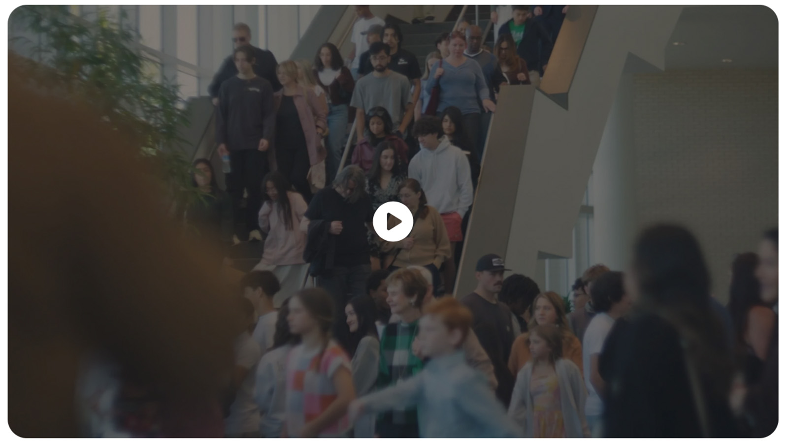 Watch NEXT Explainer Video