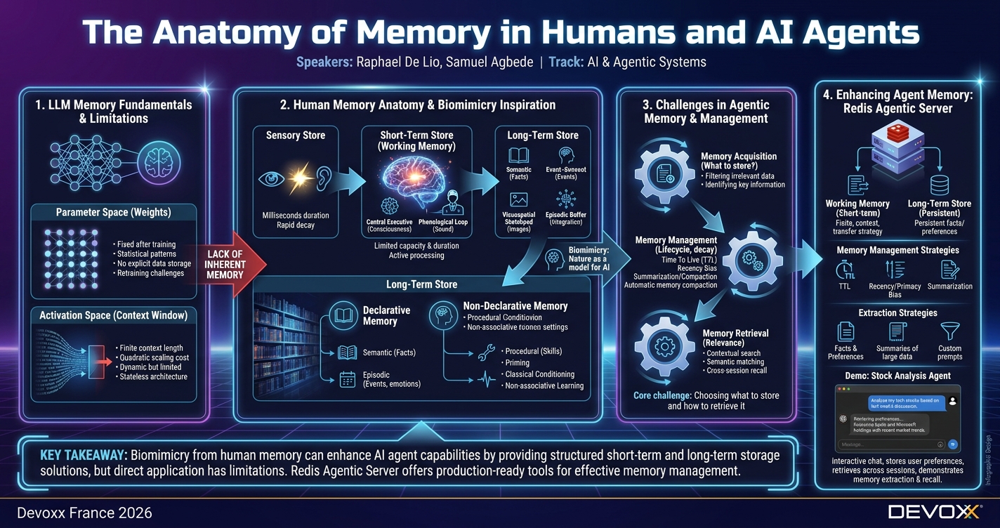 The Anatomy of Memory in Humans and AI Agents infographic