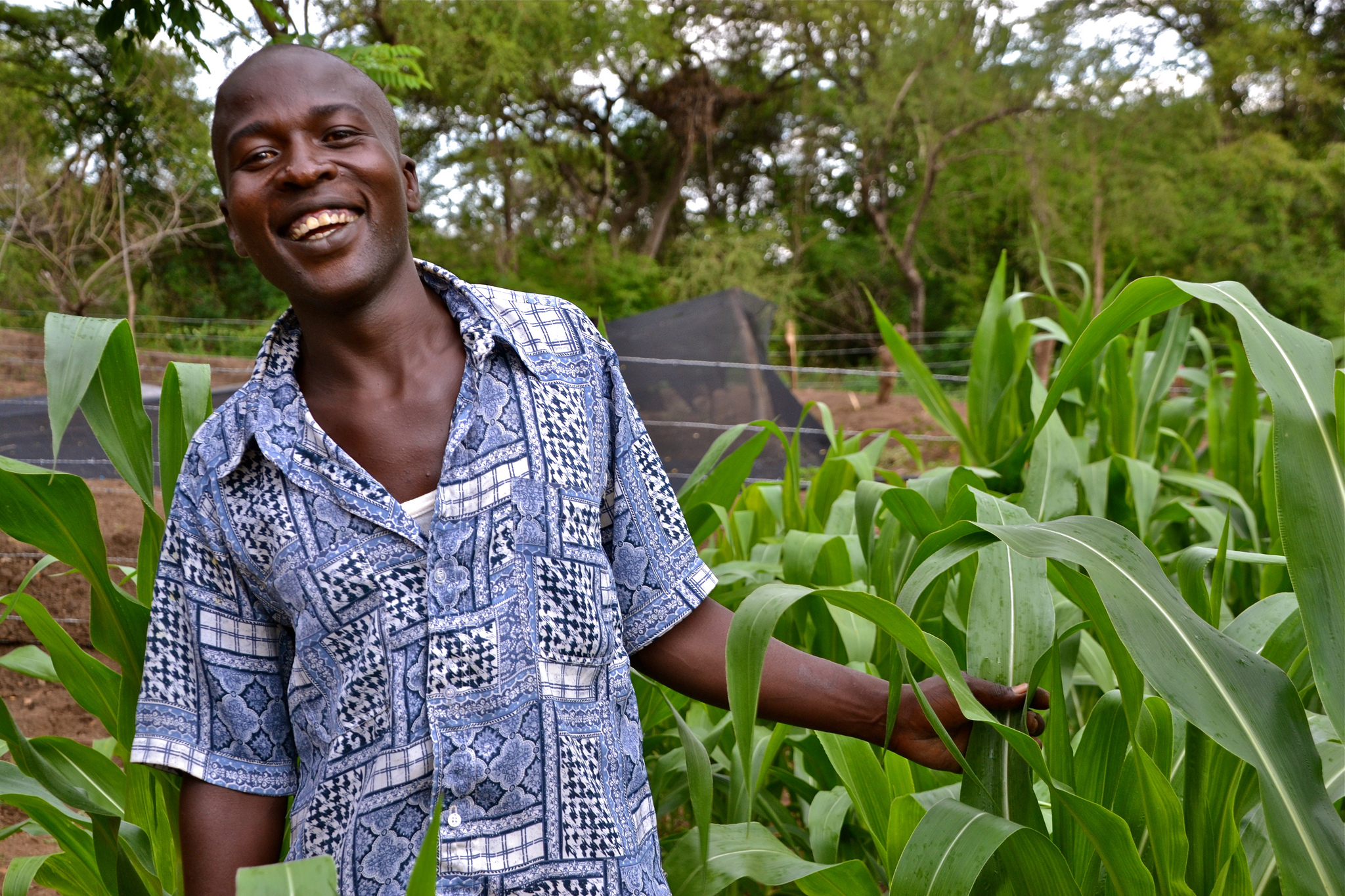 A young farmer in Kenya shows some of the crops grown at a farming facility for a Youth Group constructed with international support. The Youth Group plans to further expand these activities to bolster youth participation in agriculture in their community. (Photo: C. Schubert/CCAFS)