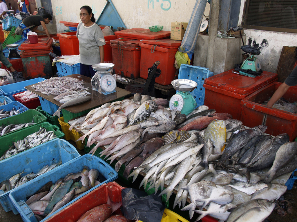 Fish market in Kota Kinabalu, Malaysia