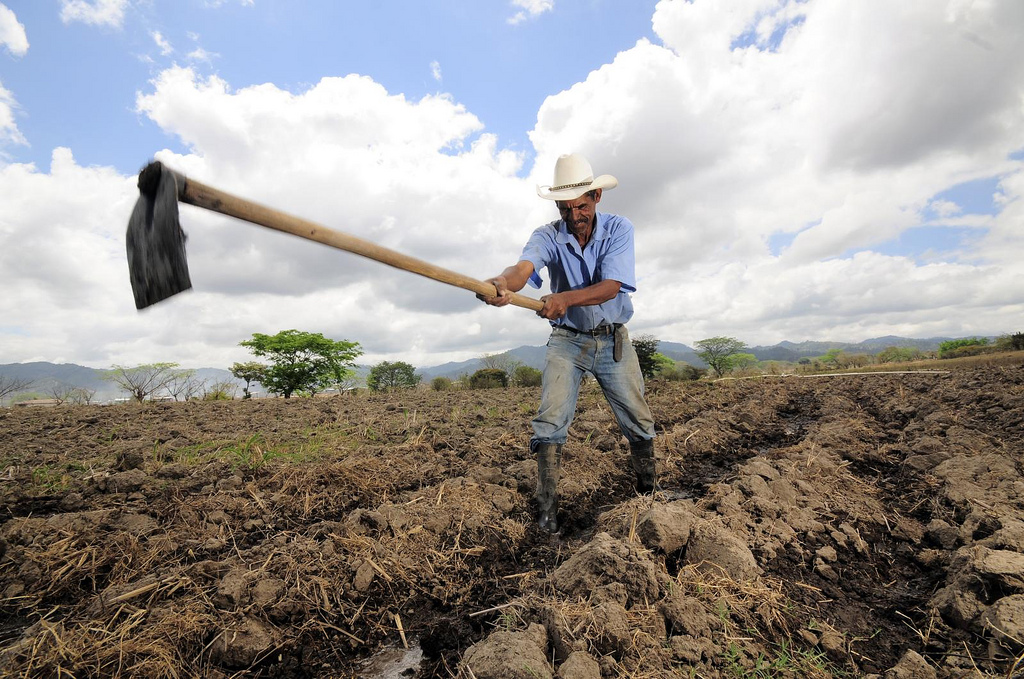 Pic by Neil Palmer (CIAT)