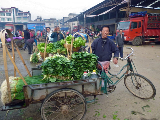 A farmer sells vegetables off a bicycle-drawn cart at a market in China (photo credit: Xiaobo Zhang/IFPRI).