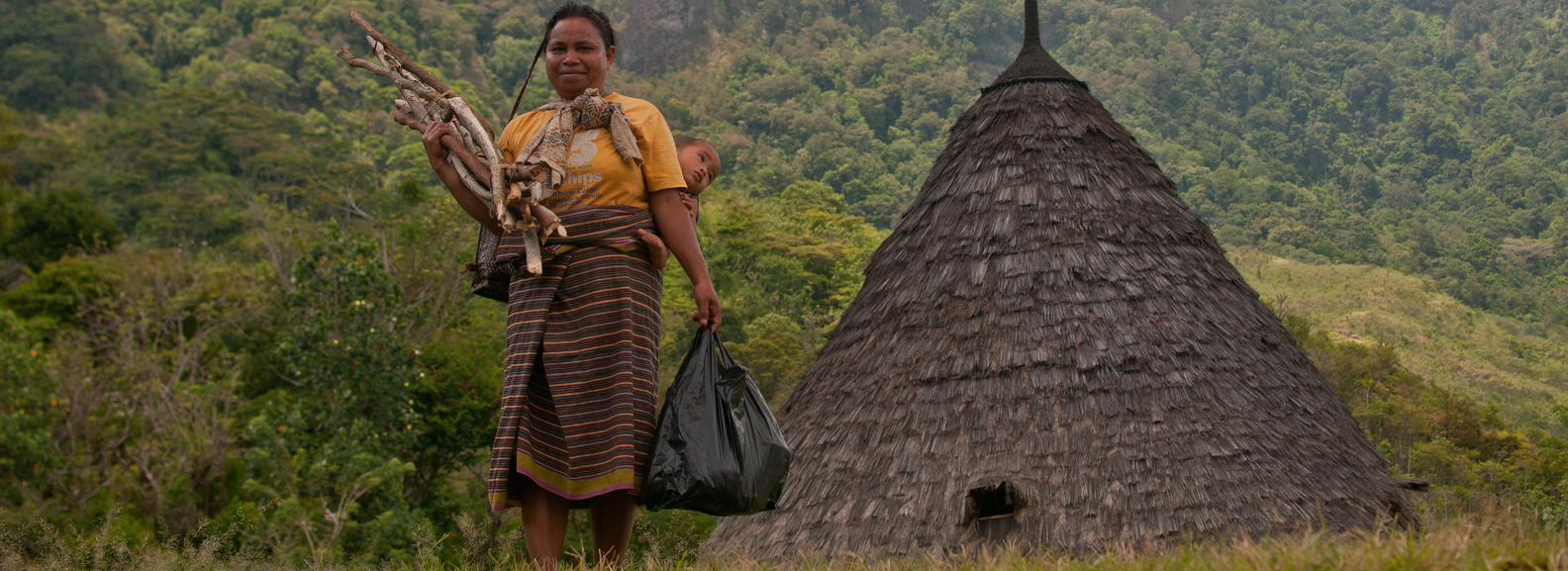 Firewood is the main energy source of the Wae rebo people.