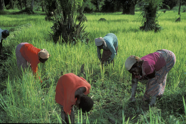 Photo: Curt Carnemark / World Bank