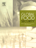 Global Food Security thumbnail