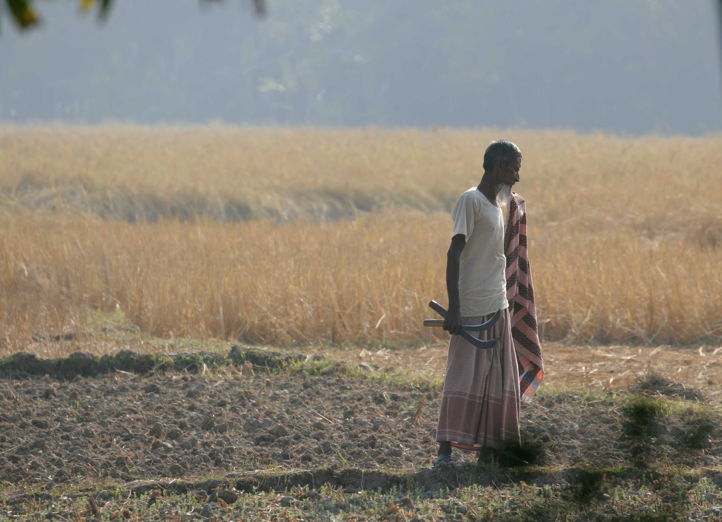 Bangladesh - Barisal rice farmer. Photo: ulricjoh, Flickr