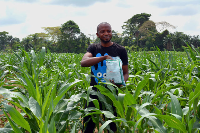 EAC launches policy briefs on aflatoxin prevention and control developed with IITA