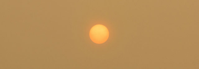 Sun seen from Sebangau national park in Central Kalimantan