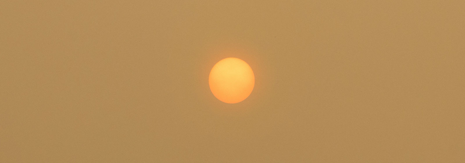 Sun seen from Sebangau national park in Central Kalimantan