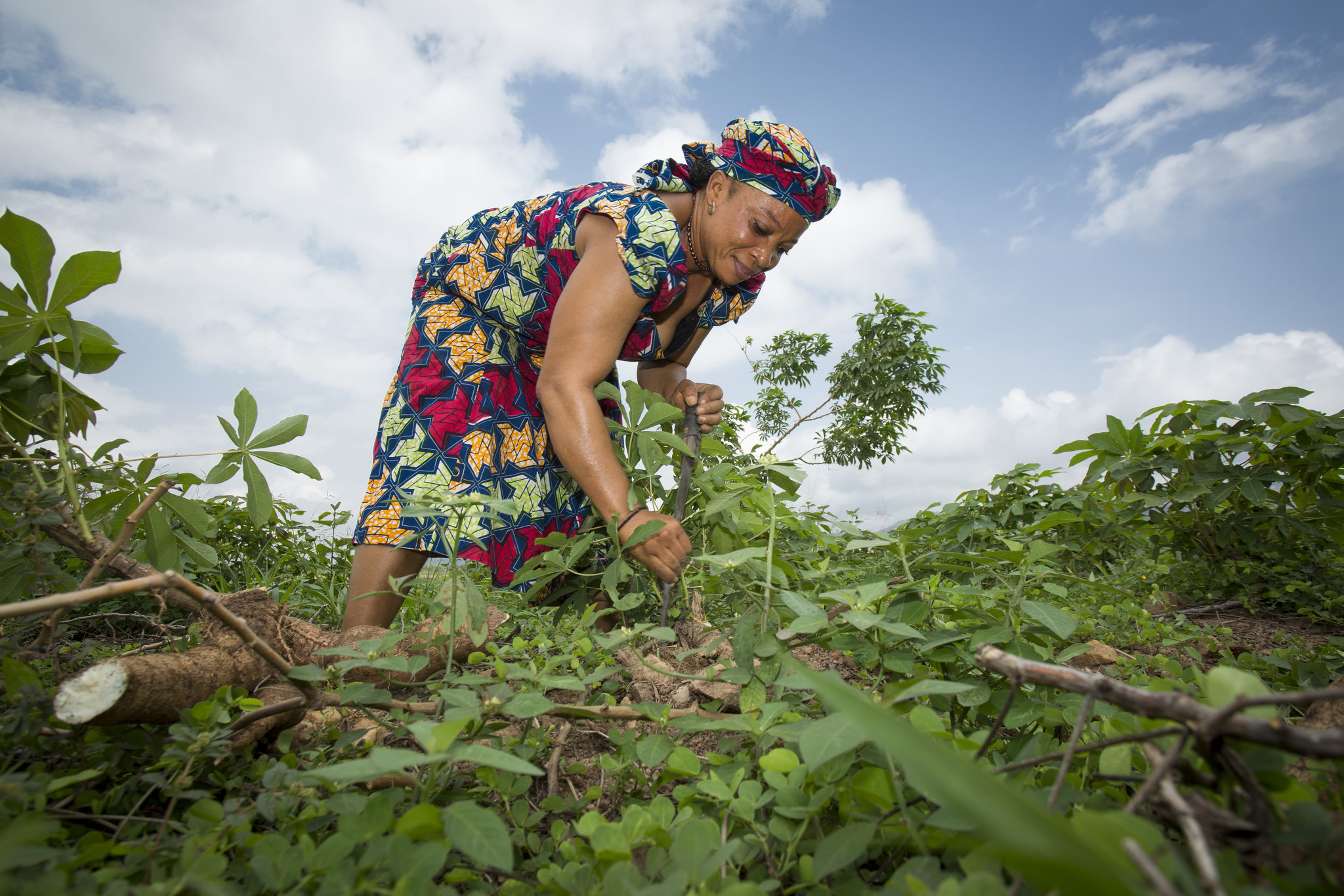 ©IFPRI/Milo Mitchell