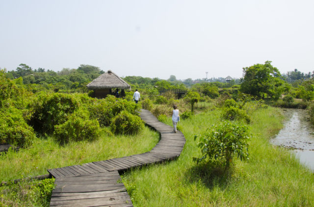 Colombo Wetlands Complex