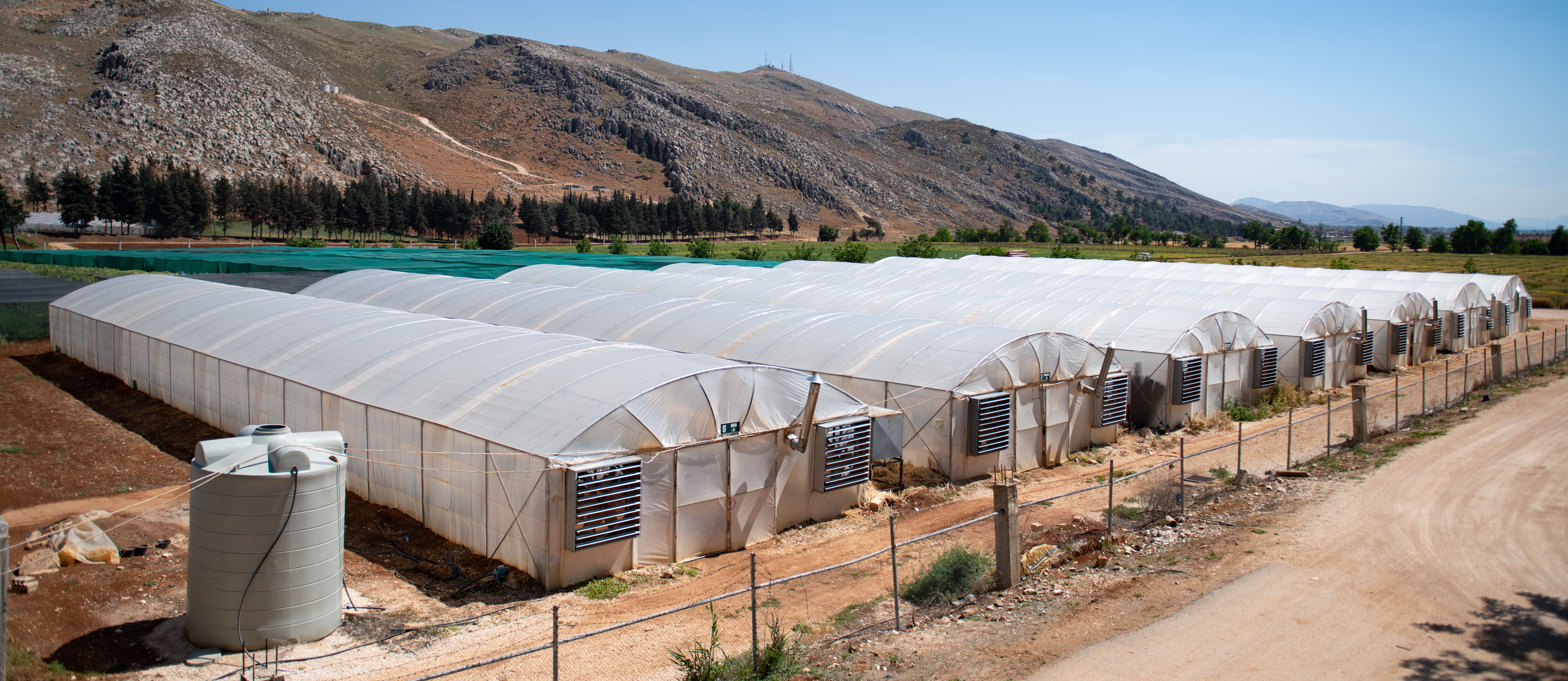 Plastic houses, ICARDA Terbol Station in Lebanon.