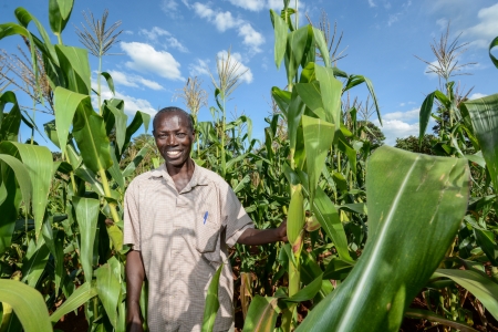 Western Kenya CA Trial site by Georgina Smith /CIAT