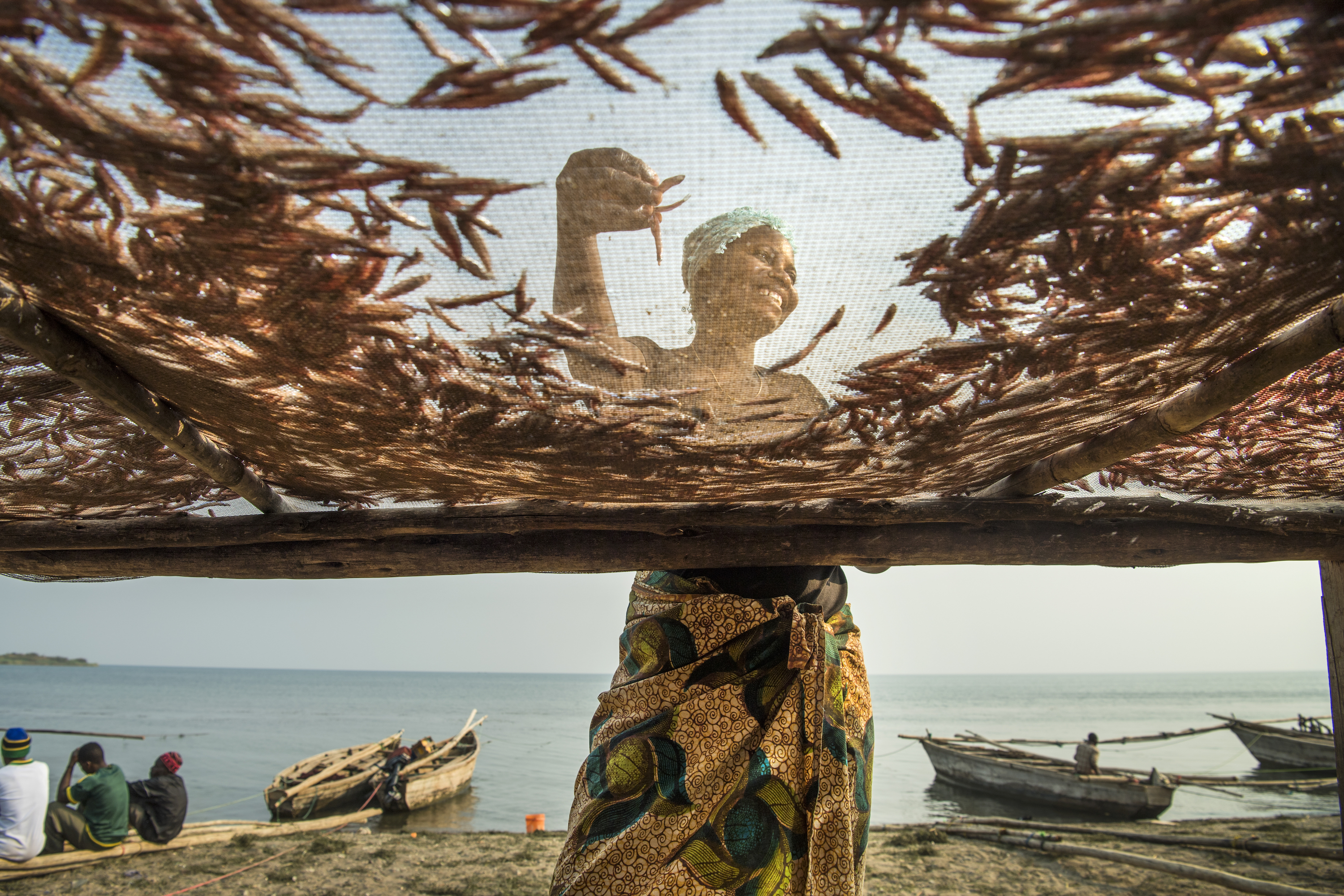 Tatu Habibu lays fish on drying racks on the shores of Lake Tanganyika, Tanzania. Ami Vitale