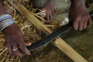 Standing Tall Bamboo From Restoration To Economic Development Cgiar