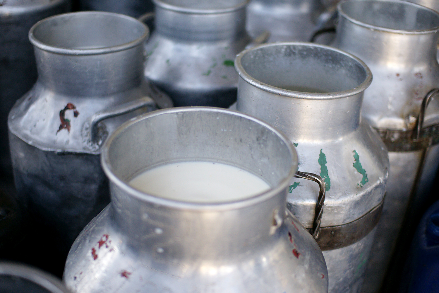 Milk in cans, Ol Kalou, Kenya (photo credit: ILRI/Paul Karaimu).