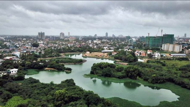 Colombo wetlands/IWMI.