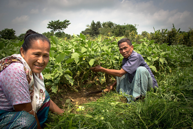 Working_together_Bangladesh