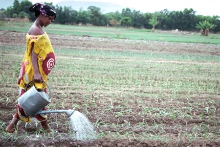 Women and Irrigation