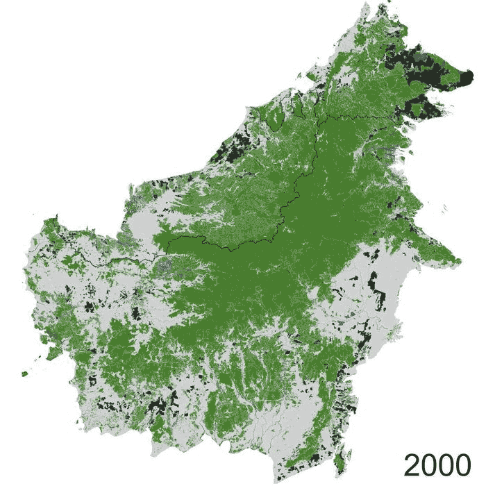 Timelapse of Borneo deforestation 200-2017. Green to white= forest loss, green to black= forest cleared and converted to plantations in the same year, green to blue= forest permanently flooded by hydropower dams.