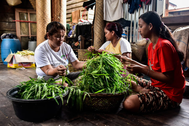 global food system, Indonesia, malnutrition, changing diets