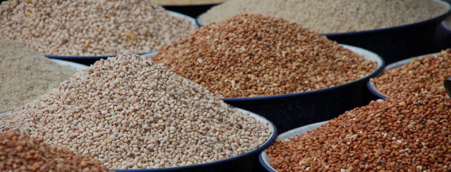 A selection of cowpea varieties.