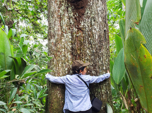 girl hugs brazil nut tree, amazon, tree hugger, valentine's day