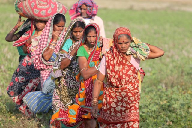 Why a million Indian tribal families face eviction