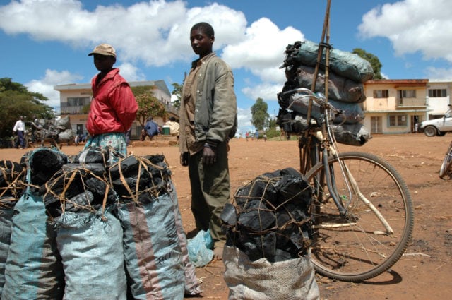 Charcoal sellers in Mozambique