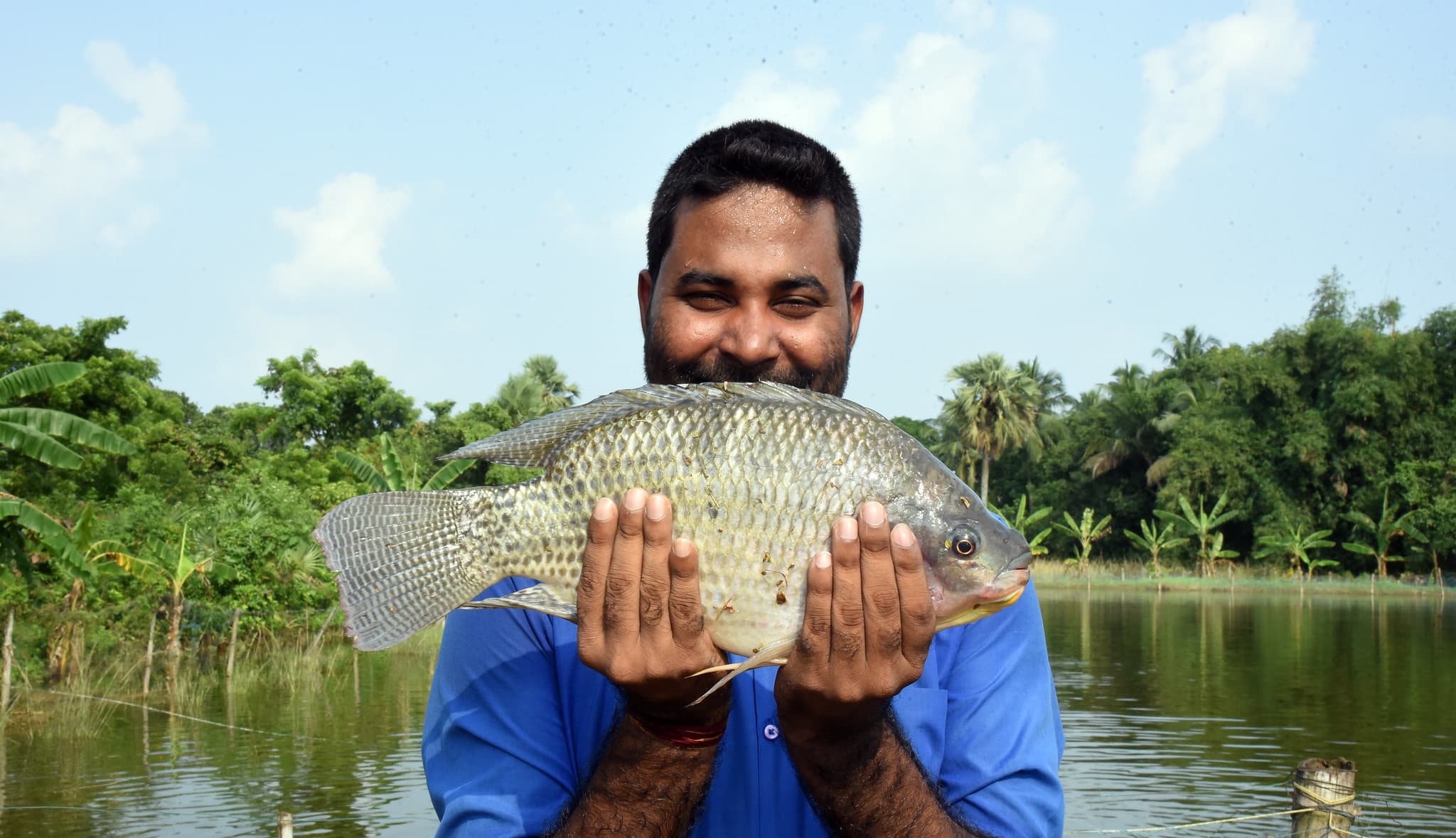 Tilapia Fingerlings and Hito Fish Hatchery