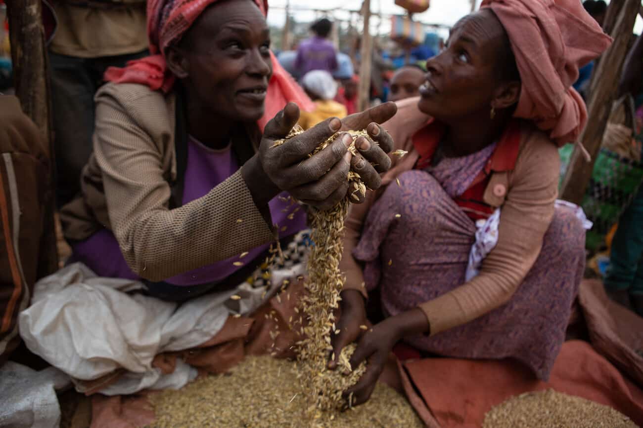 On Africa's farms, the forecast calls for adaptation and innovation