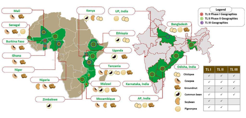 Fruit pleasure Development period over 12 years old Bangladesh