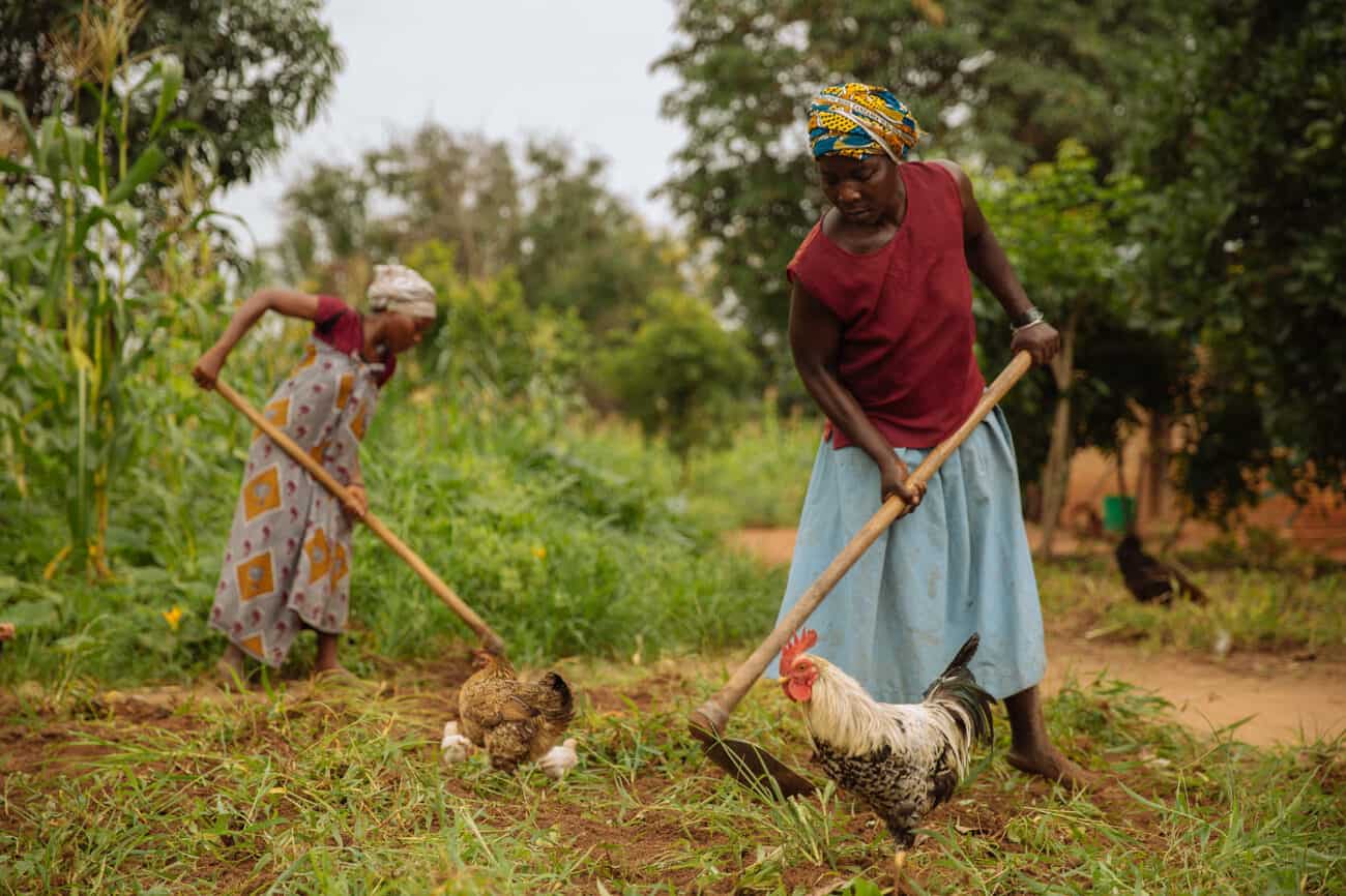 Empowering Africas Women Farmers Cgiar