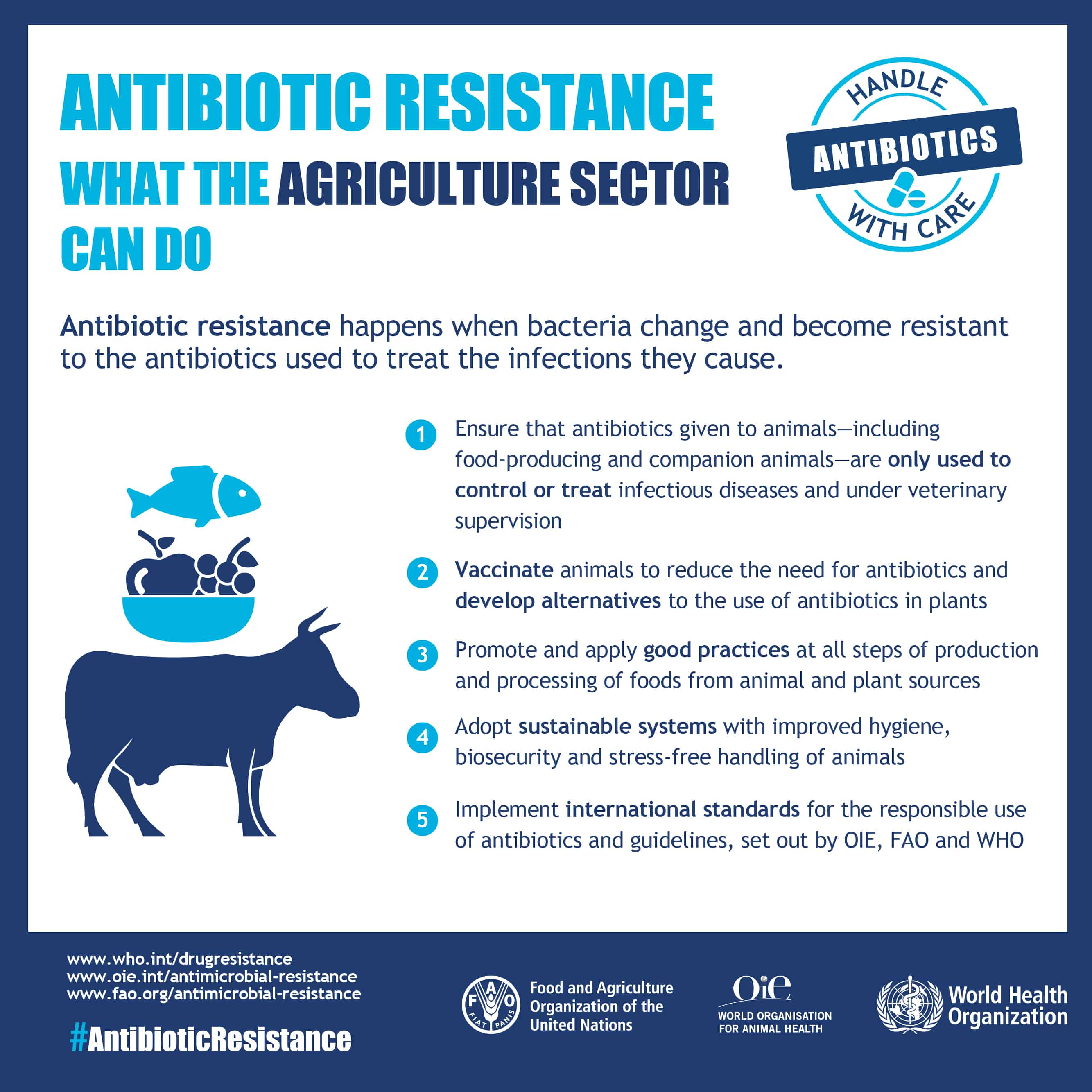 Infographic on antibiotic resistance: what the agriculture sector can do (credit: World Health Organization).