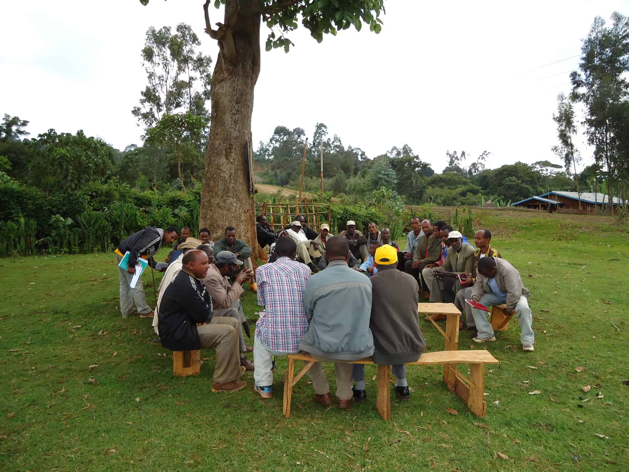 Livestock and irrigation value chains for Ethiopian smallholders (LIVES) project baseline survey, Sidama, Ethiopia (photo credit: ILRI/Kettema Yilma).