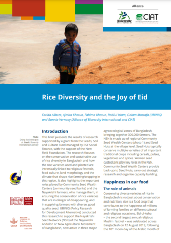rice diversity essay
