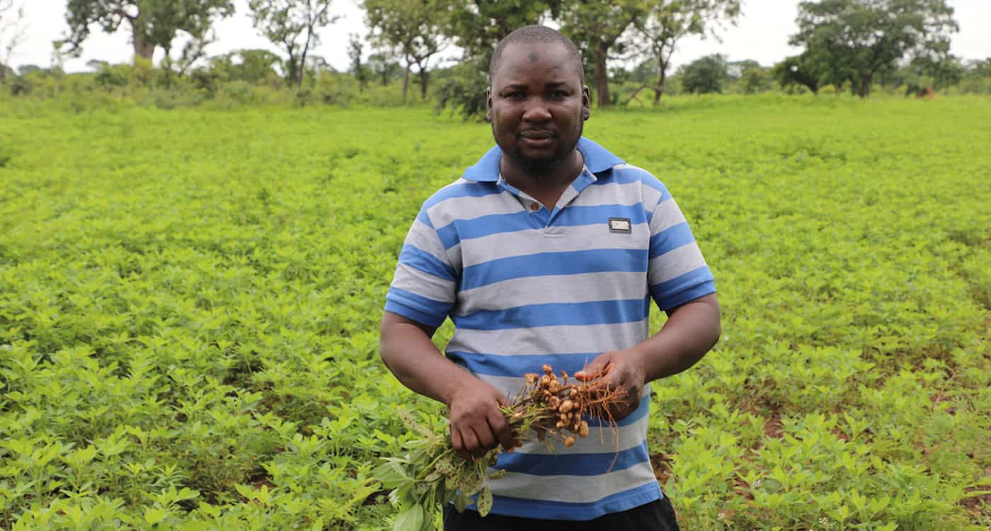 Mr Khalid Abukari Giwah, a civil servant turned seed producer, on his groundnut farm in Tatuani village, Ghana. Photo: M Magassa