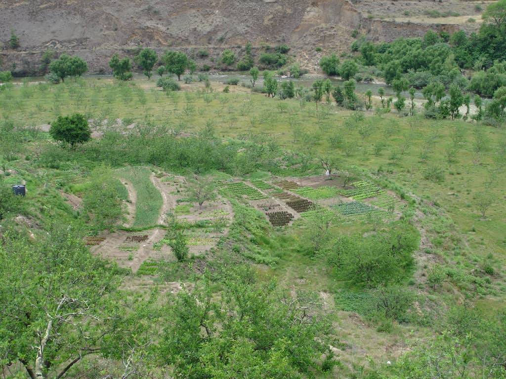 Agroforestry—the management of trees with crops and livestock—alters microclimates, hydrology, biogeochemistry, and biodiversity