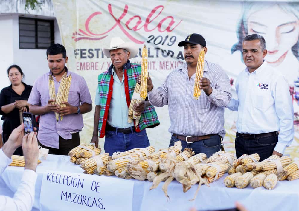 Largest Ear of Corn in the World Contest