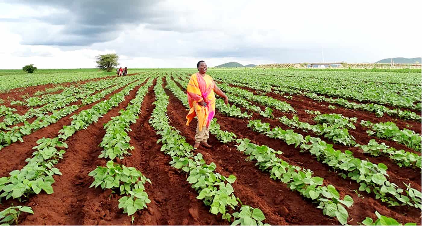 Farmer Betty Bondo in her field. Photo: ICRISAT