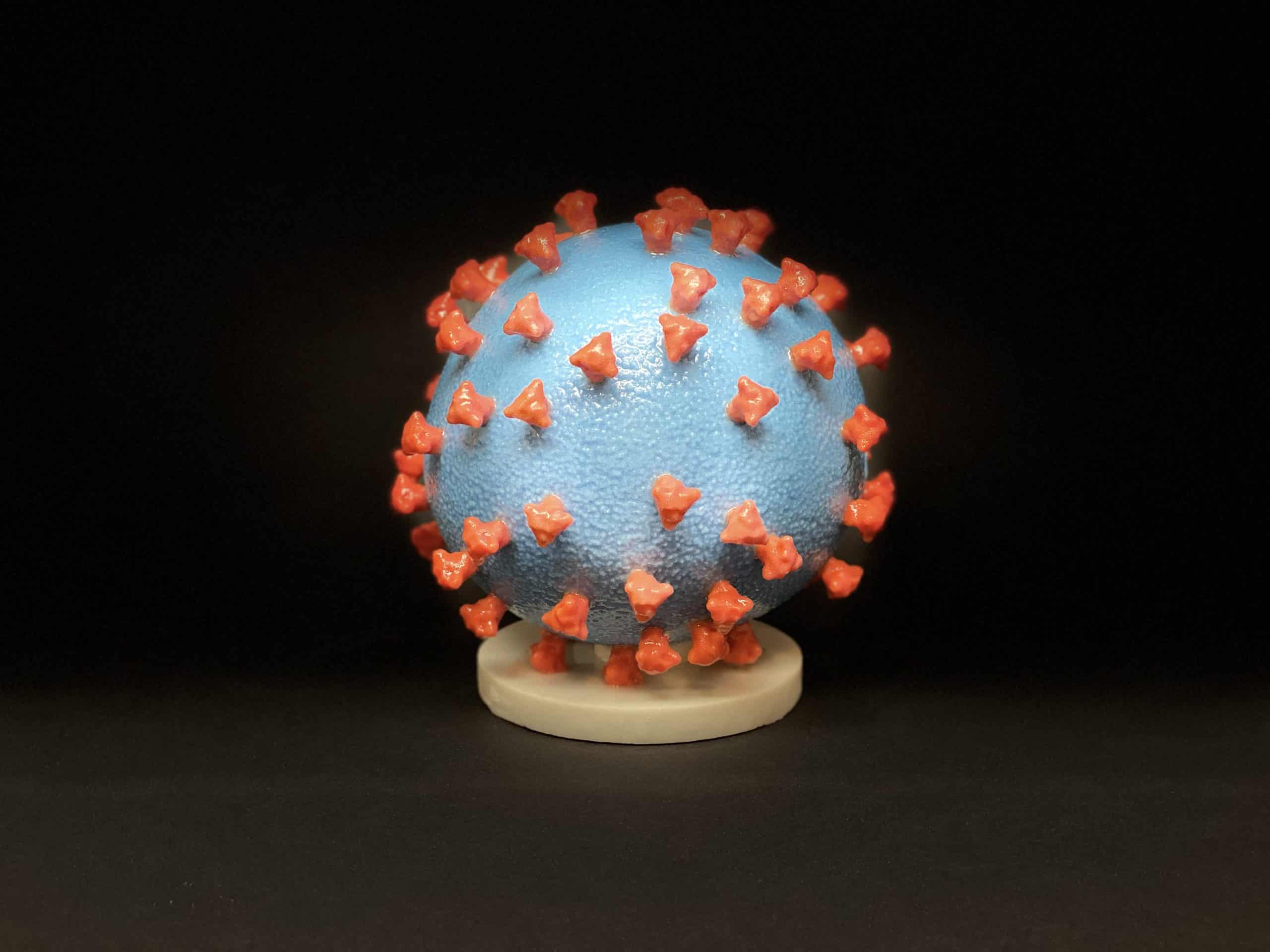 A 3D print of a SARS-CoV-2 virus particle, which causes COVID-19. NIH/NIAID