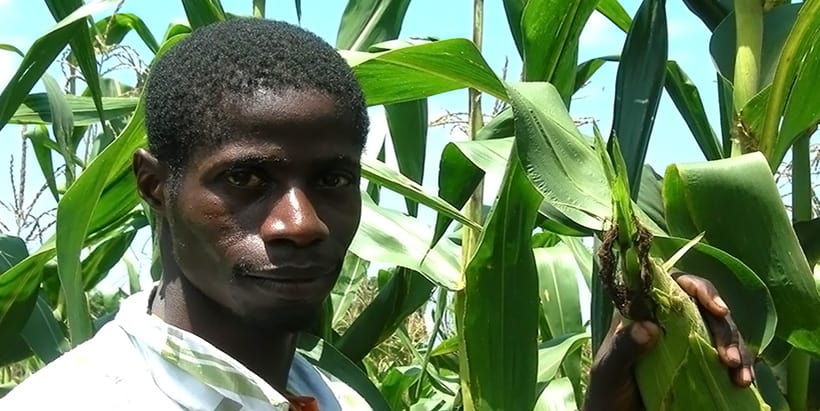 Maize project supports partners in COVID-19 response