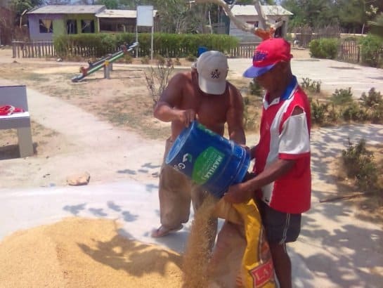 Colombian Farmers Donate Zinc Rice