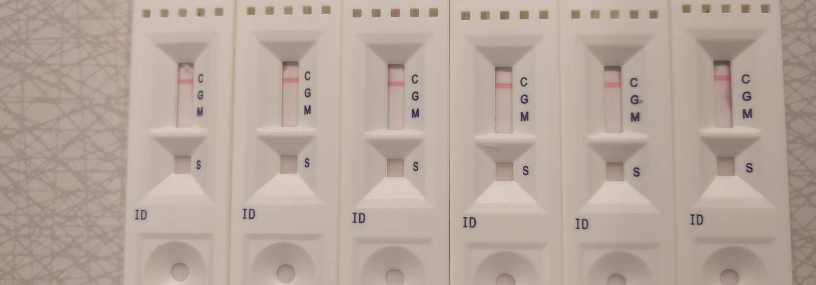 covid rapid test home kit