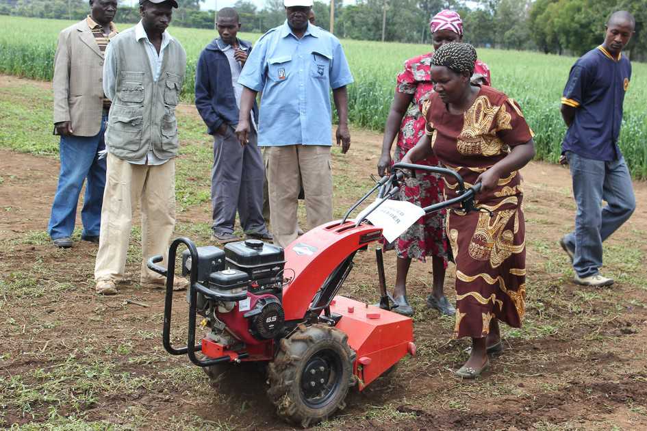 Transforming African agriculture - Points of Light