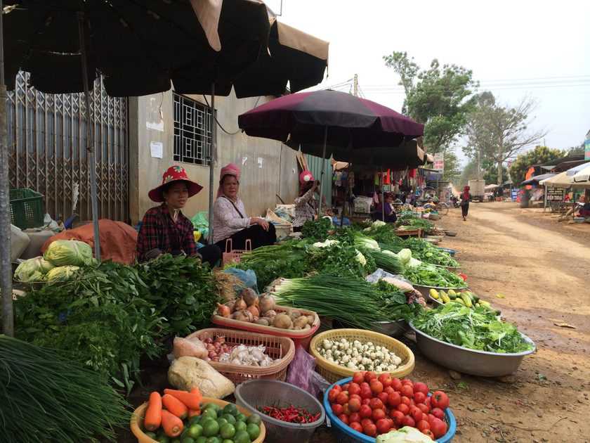 Food market in Son La province, northwestern Vietnam (photo credit: ILRI/Hung Nguyen-Viet).