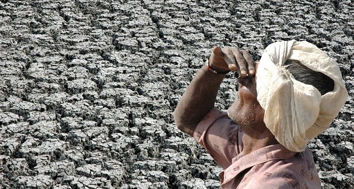 A farmer on his parched land in India. Photo: L Vidyasagar, ICRISAT