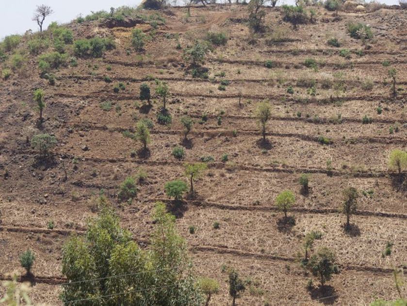 COVID-19 mitigation could open new opportunities for agroecological innovation, here a multifunctional landscape in Ethiopia. Michael Hauser (ICRISAT), CC BY-SA